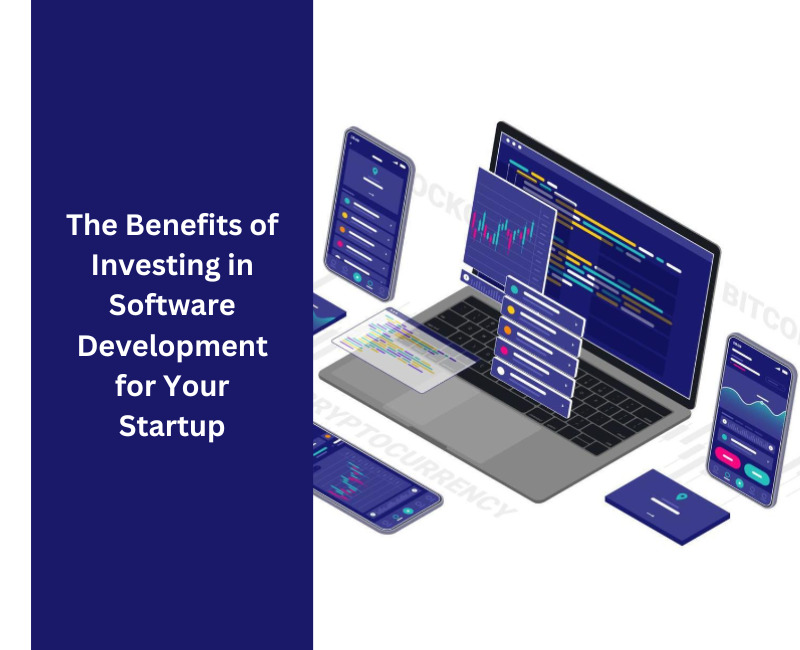The Benefits Of Investing In Software Development For Your Startup