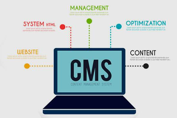 CMS website development: Why Creativity is More Important Than Visual Appeal?